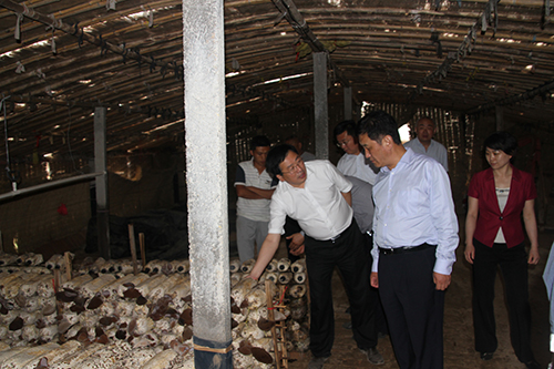 人生就是博(中国游)尊龙官方网站